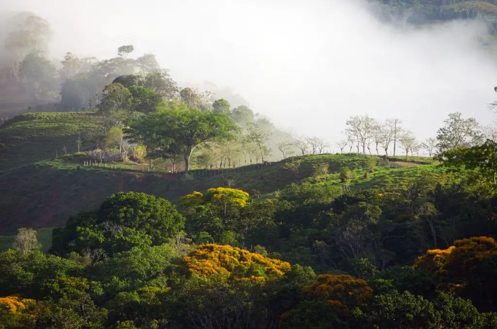Gorgeous panoramic vistas seen from your luxury jungle retreat.