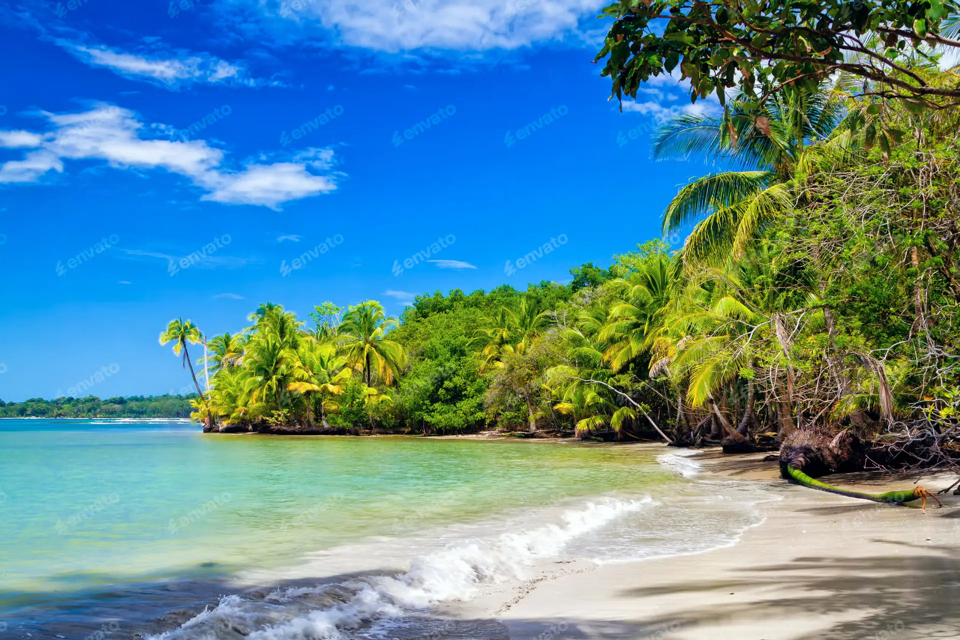 Costa Rica full day adventures