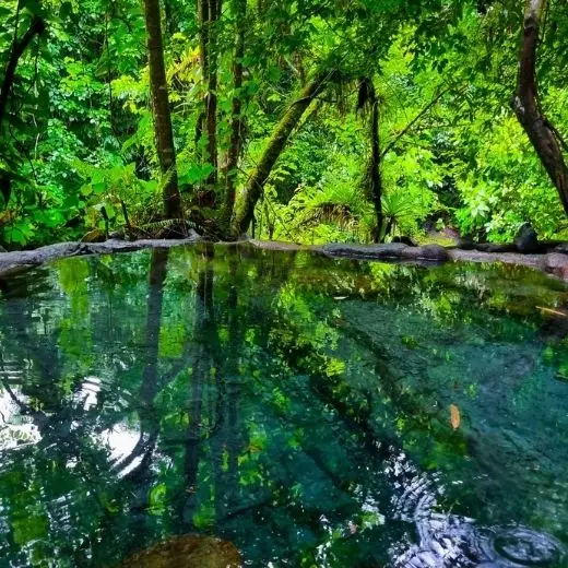 natural hot springs in Costa Rica surrounded by tropical jungle
