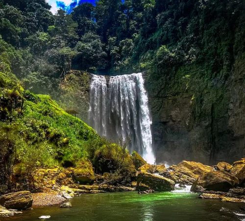 Ecochantes Vani-PS:LR:ON1